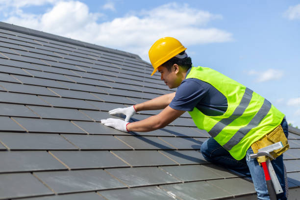 Best Shingle Roofing Installation  in New Town, ND