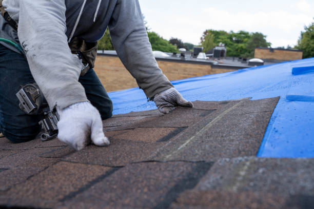 Best Emergency Roof Repair  in New Town, ND