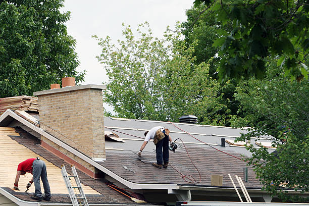 Best Roof Waterproofing Services  in New Town, ND
