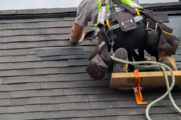 Best Roof Gutter Cleaning  in New Town, ND