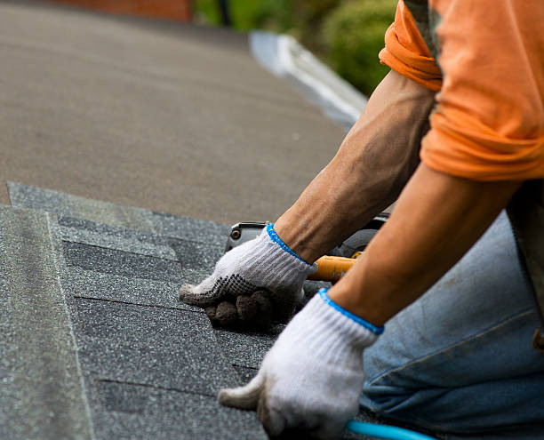 Best Commercial Roofing Services  in New Town, ND